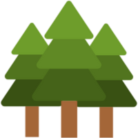 CMS Capital Group LLC