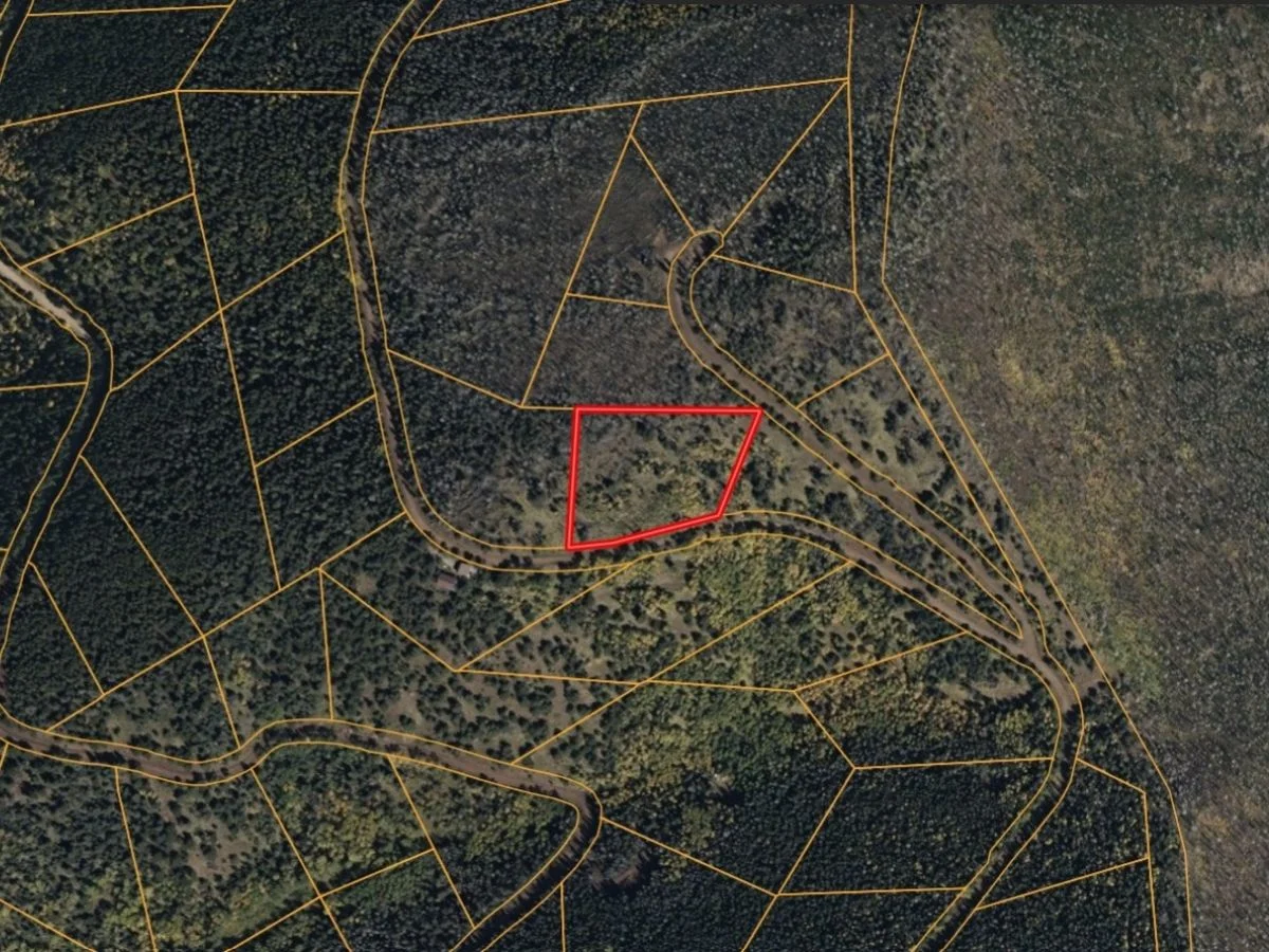 3.206 Acres in CO NOW – Unbelievable Price, Won’t Last!