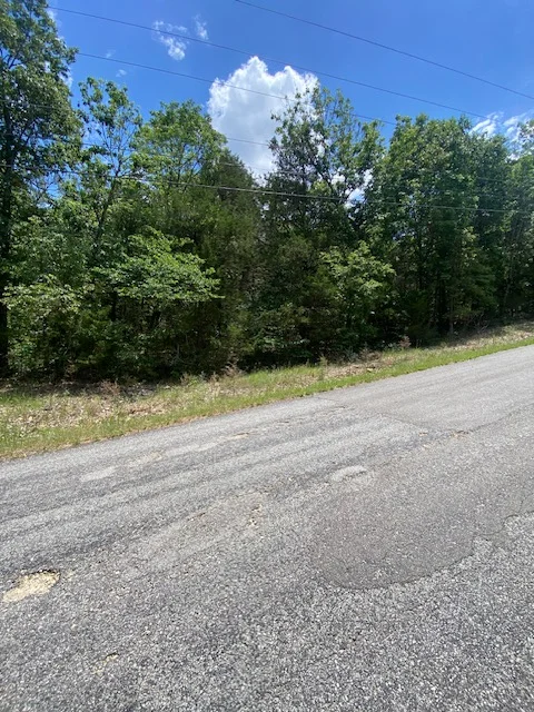 Twin Lakes 0.49ac Lot Horseshoe Bend AR