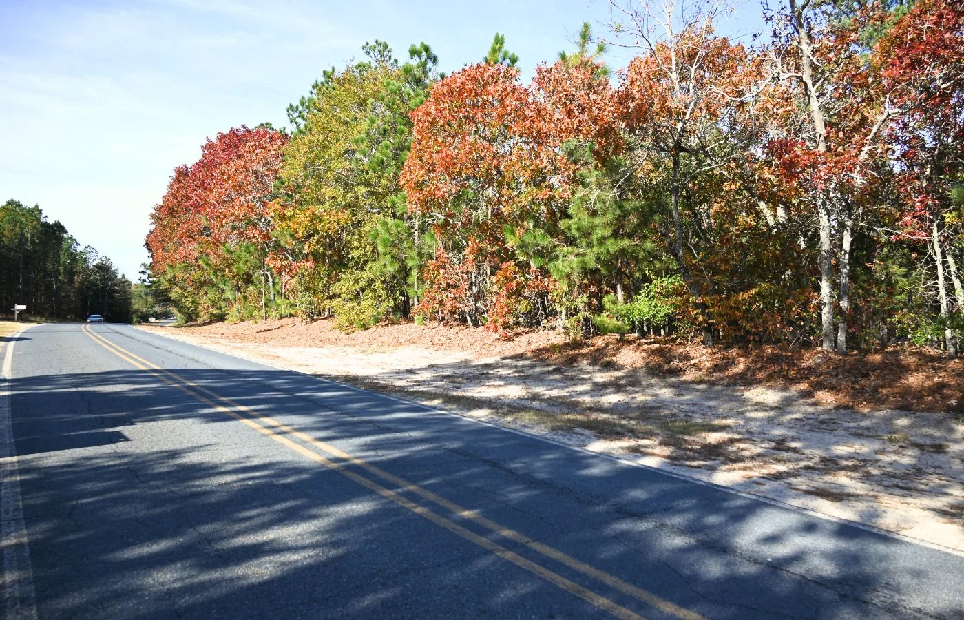 Versatile 2.4 Acre Property Near Downtown Hamlet, NC | Dual Road Access and Public Water