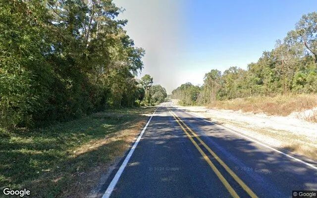 0.55 Acres in Trinity - Trinity County, TX - Image 5