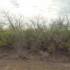 35.1 Acres in Orange Grove - Jim Wells County, TX in Jim Wells County, Texas