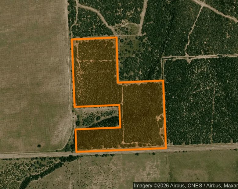 34.99 Acres in Falfurrias - Jim Wells County, TX in Jim Wells County, Texas