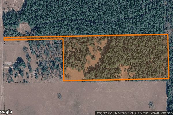 15.01 Acres in Colmesneil - Tyler County, TX - Image 1
