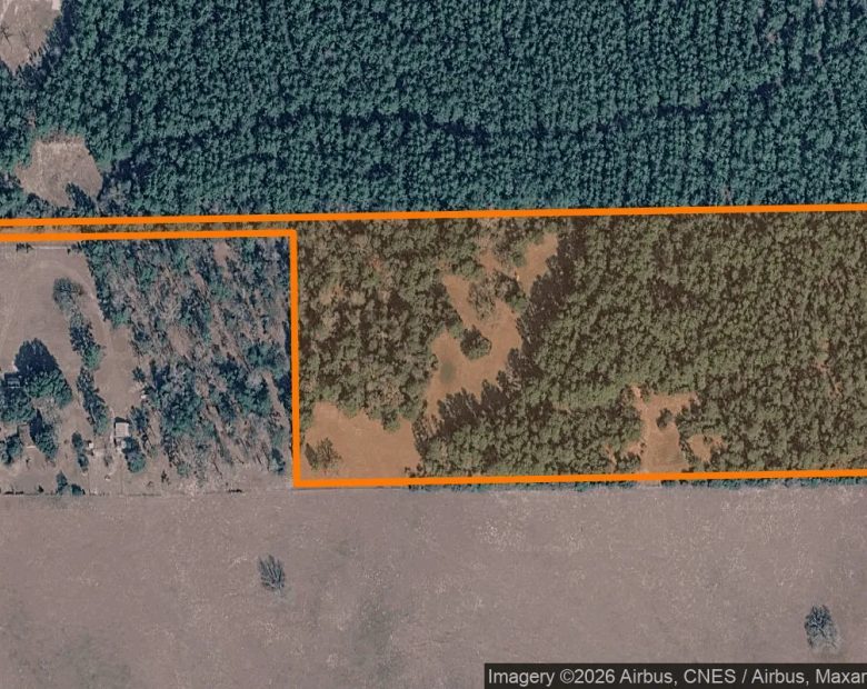 15.01 Acres in Colmesneil - Tyler County, TX in Tyler County, Texas