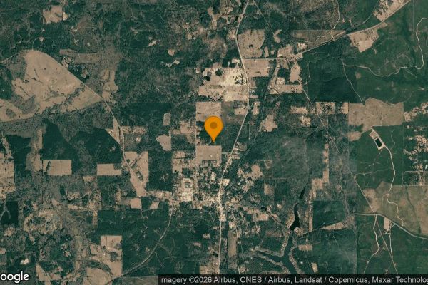 15.01 Acres in Colmesneil - Tyler County, TX - Image 3