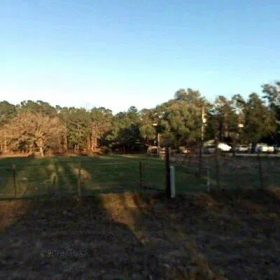 15.01 Acres in Colmesneil - Tyler County, TX in Tyler County, Texas