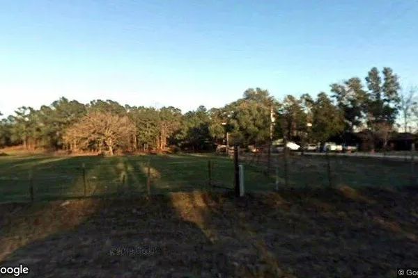 15.01 Acres in Colmesneil - Tyler County, TX - Image 4
