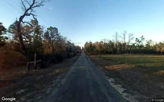 15.01 Acres in Colmesneil - Tyler County, TX - Image 5