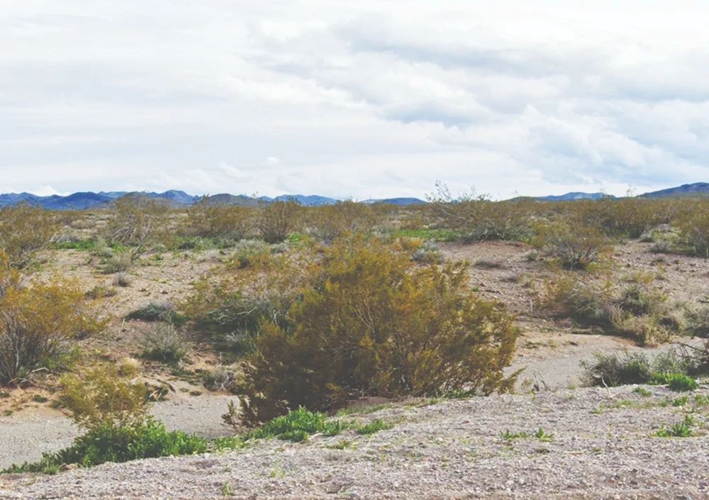 Mohave, AZ - 350-12-137 - Image 4