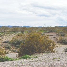 Mohave, AZ - 350-12-137 in Mohave County, Arizona