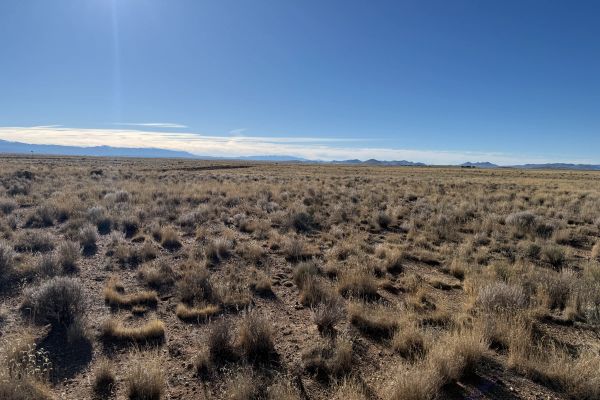 Costilla, CO - 70370060 - Image 2