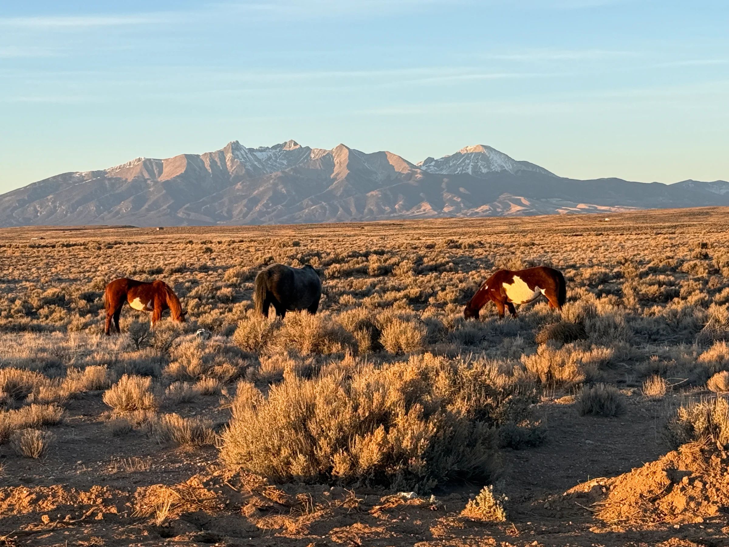 Costilla, CO - 70327370 - Image 2