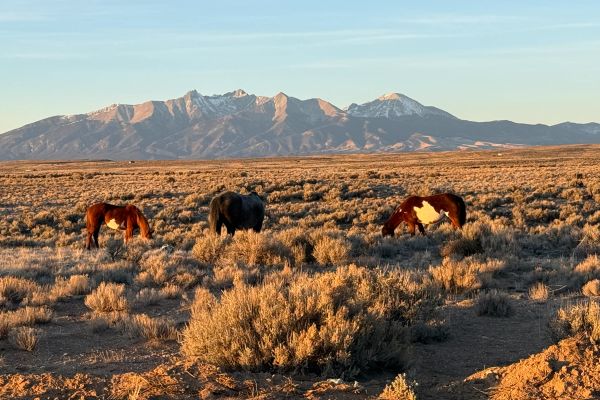 Costilla, CO - 70327370 - Image 2