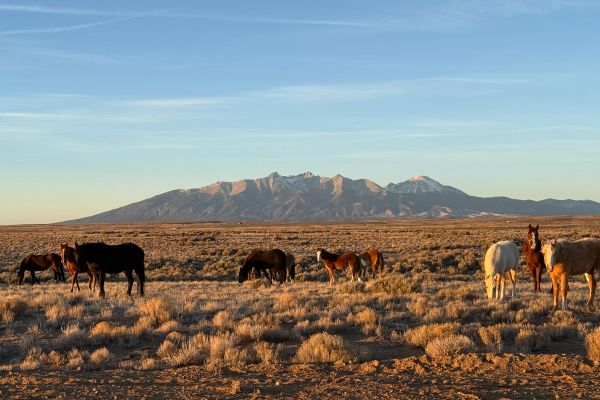 Costilla, CO - 70327370 - Image 5