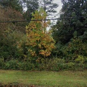 0.55 Acres in Chesapeake - Chesapeake, VA in Chesapeake County, Virginia
