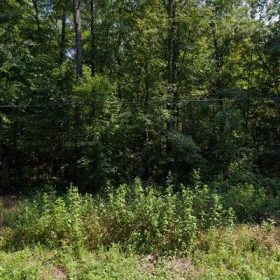 3.08 Acres in Chesterfield - Chesterfield County, VA in Chesterfield County, Virginia