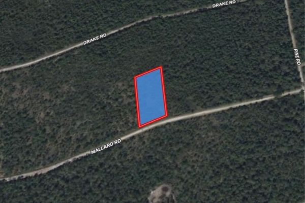 Brunswick, NC - 14100021 - Image 2