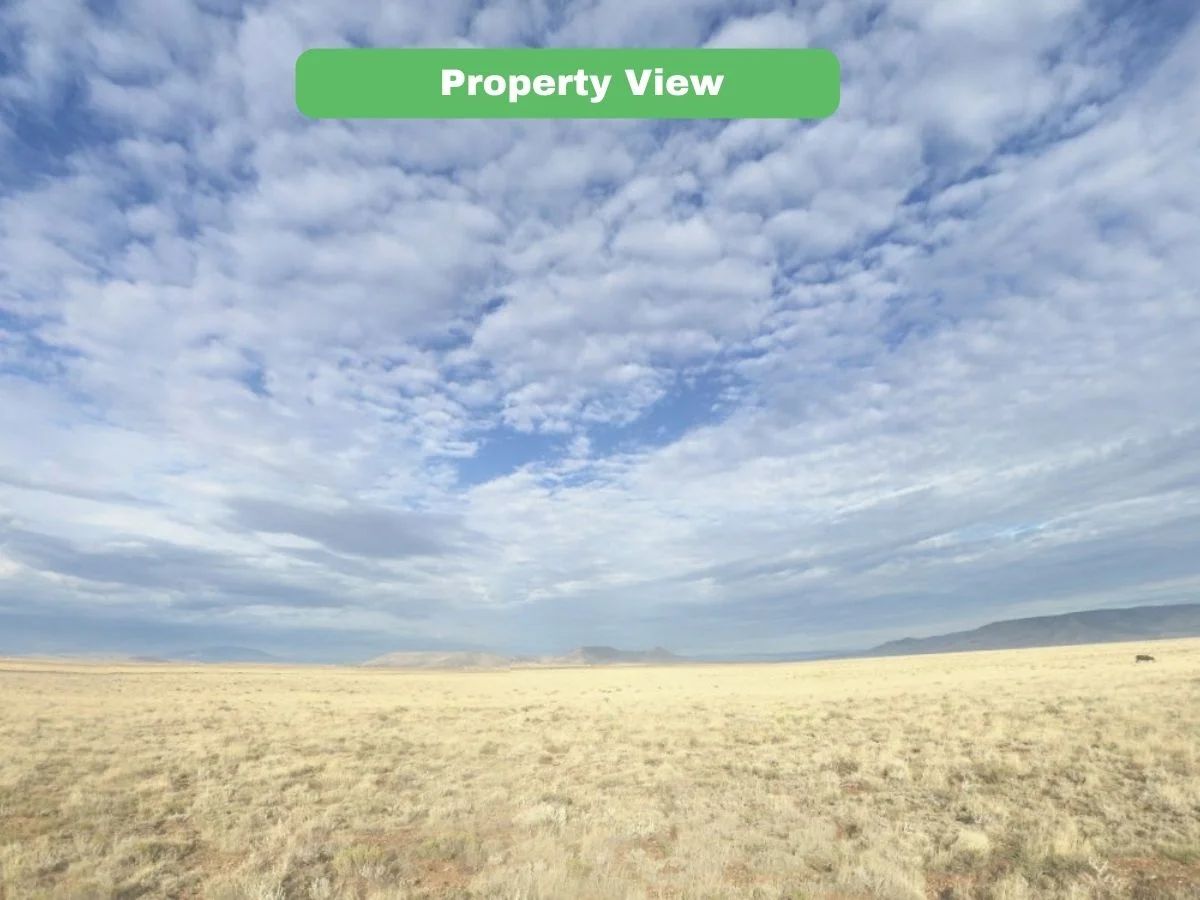5 Acres Land For Sale in Costilla CO - 71547490 - Image 3
