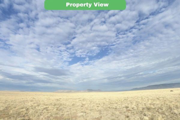 5 Acres Land For Sale in Costilla CO - 71547490 - Image 3