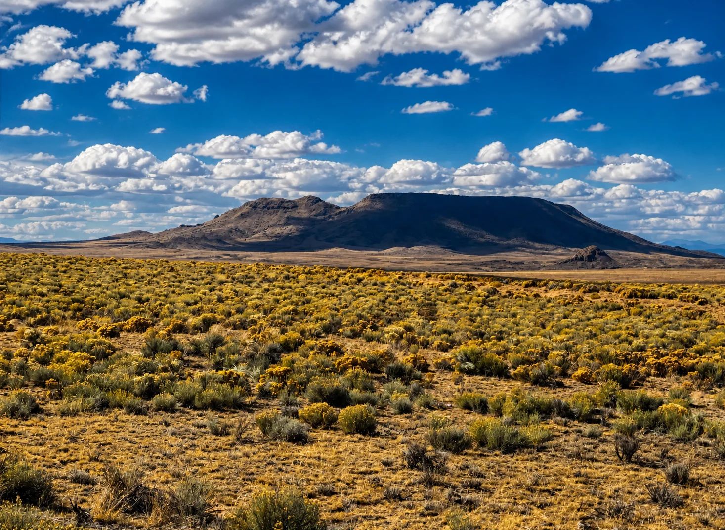 5 Acres Land For Sale in Costilla CO - 71547490 - Image 1