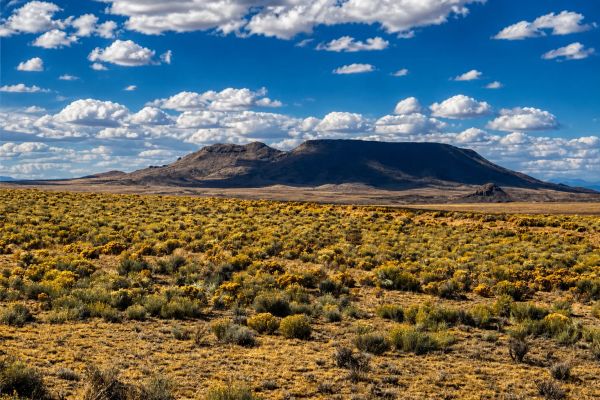 5 Acres Land For Sale in Costilla CO - 71547490 - Image 1
