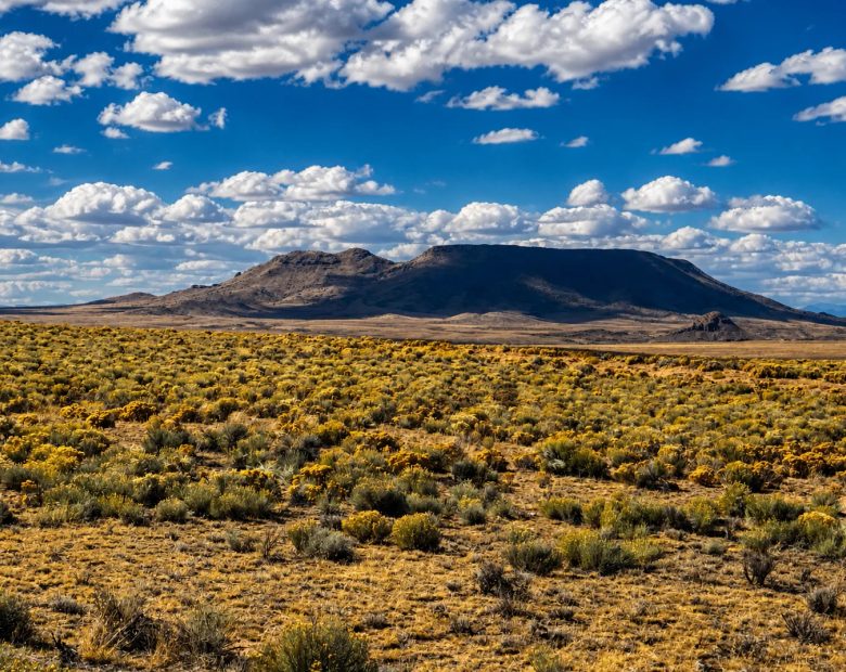 5 Acres Land For Sale in Costilla CO - 71547490 in Costilla County, CO