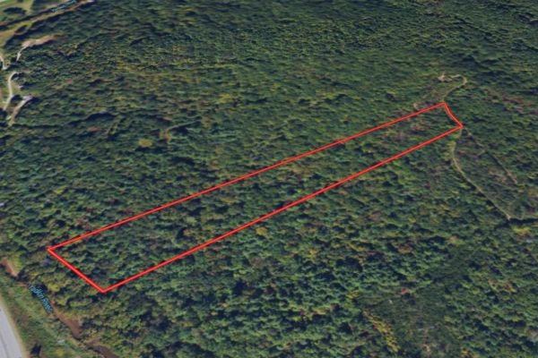 Caldwell County North Carolina Land For Sale - 10.01 Acres of Opportunity - Image 2