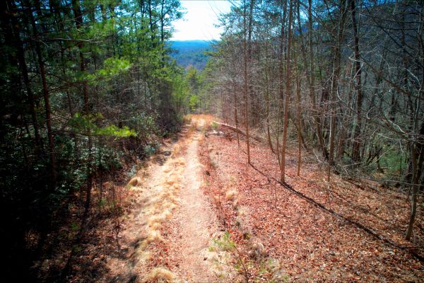 Caldwell County North Carolina Land For Sale - 10.01 Acres of Opportunity - Image 4