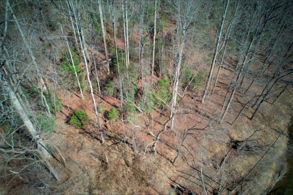 Caldwell County North Carolina Land For Sale - 10.01 Acres of Opportunity - Image 3