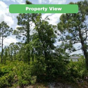 Charlotte, FL Land For Sale - 0.23 Acres of Opportunity-Owner Will Finance in Charlotte County, FL