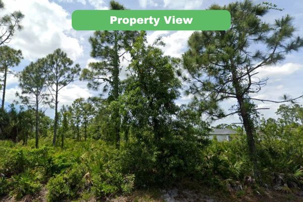 Charlotte, FL Land For Sale - 0.23 Acres of Opportunity-Owner Will Finance - Image 4
