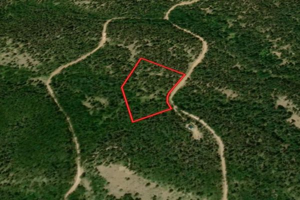 Costilla, CO Land For Sale - 5.339 Acres of Opportunity - Image 2