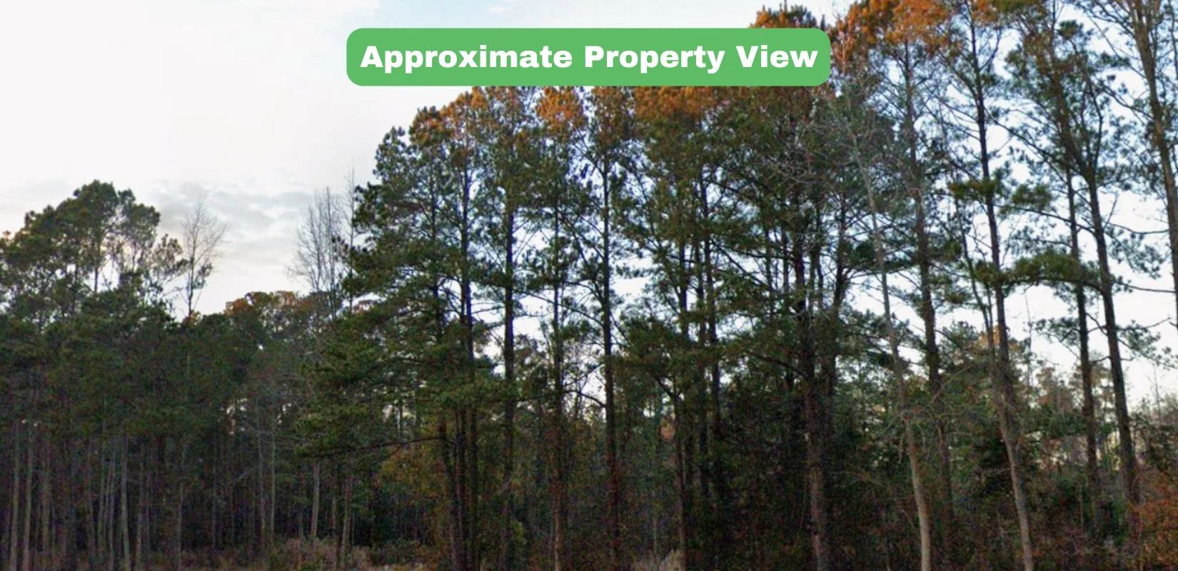 3.43 Acres of Land for Sale in Pender County, NC - Image 4