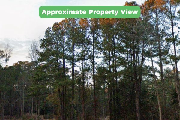 3.43 Acres of Land for Sale in Pender County, NC - Image 4