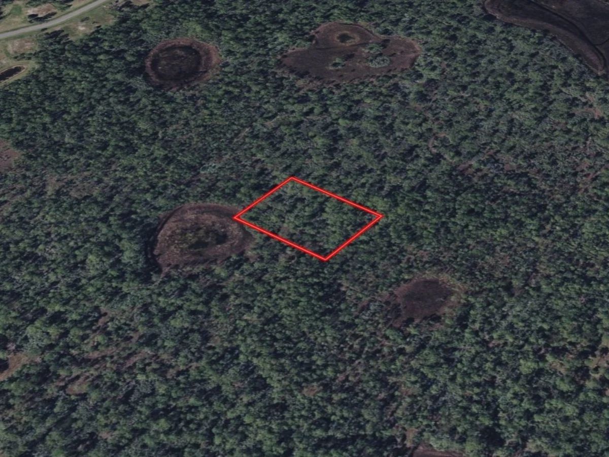 Brevard, FL - 29-37-14-00-00773.0-0000.00 - Image 2