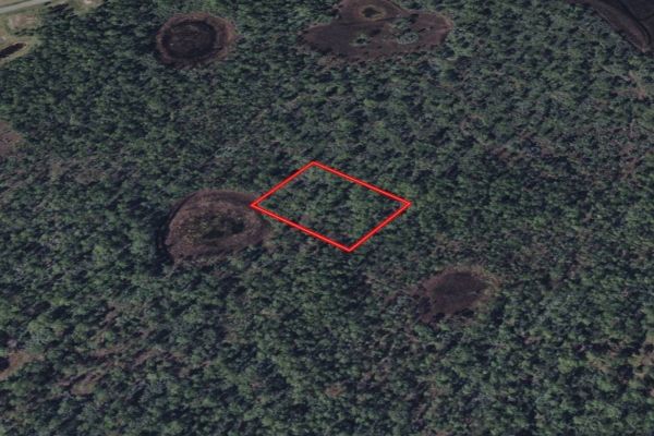 Brevard, FL - 29-37-14-00-00773.0-0000.00 - Image 2