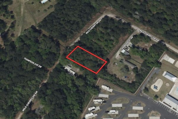 0.37 Acres in NC NOW – Unbelievable Price, Won’t Last! - Image 2