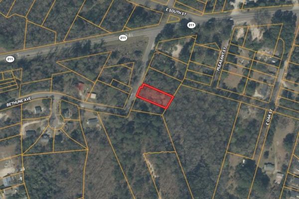0.32 Acres in NC NOW – Unbelievable Price, Won’t Last! - Image 1