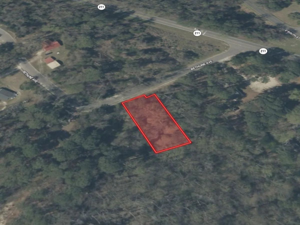 0.32 Acres in NC NOW – Unbelievable Price, Won’t Last! - Image 2