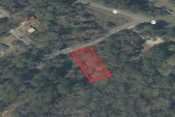 0.32 Acres in NC NOW – Unbelievable Price, Won’t Last! - Image 2