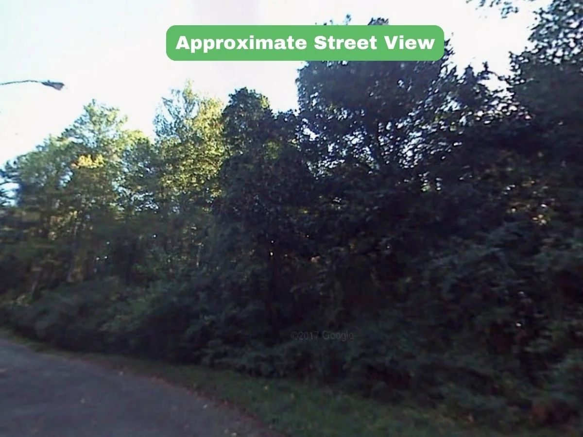 0.32 Acres in NC NOW – Unbelievable Price, Won’t Last! - Image 3