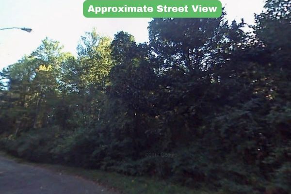 0.32 Acres in NC NOW – Unbelievable Price, Won’t Last! - Image 3