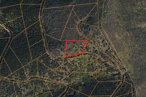 3.206 Acres in CO NOW – Unbelievable Price, Won’t Last! - Image 1