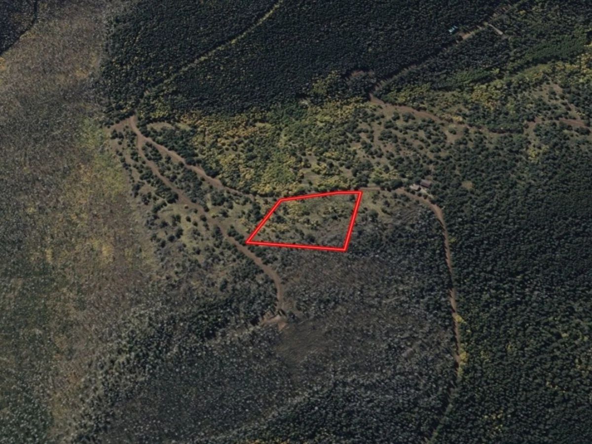 3.206 Acres in CO NOW – Unbelievable Price, Won’t Last! - Image 2