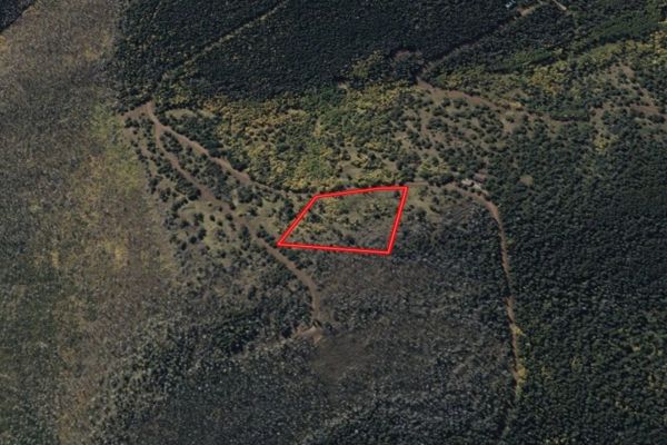 3.206 Acres in CO NOW – Unbelievable Price, Won’t Last! - Image 2