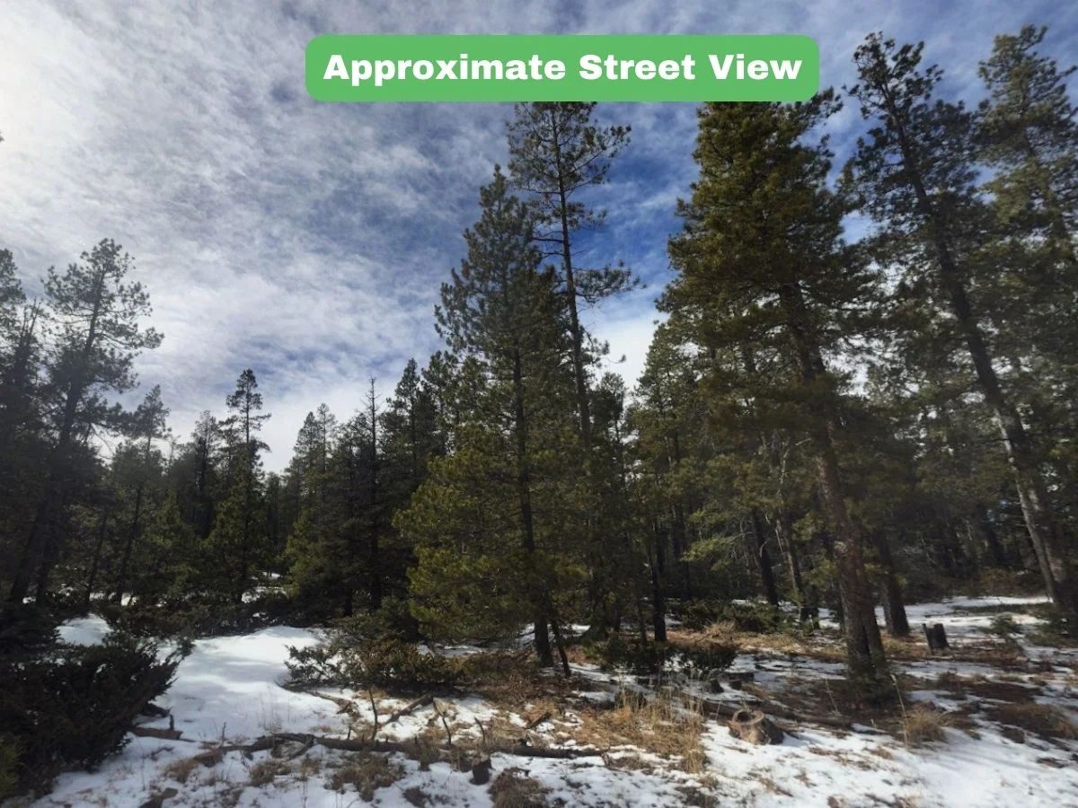 3.206 Acres in CO NOW – Unbelievable Price, Won’t Last! - Image 3