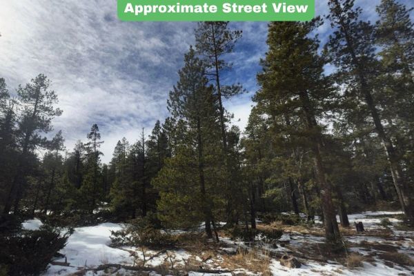 3.206 Acres in CO NOW – Unbelievable Price, Won’t Last! - Image 3