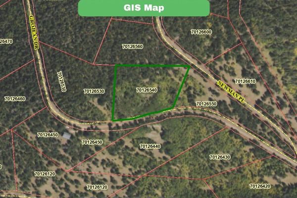 3.206 Acres in CO NOW – Unbelievable Price, Won’t Last! - Image 5