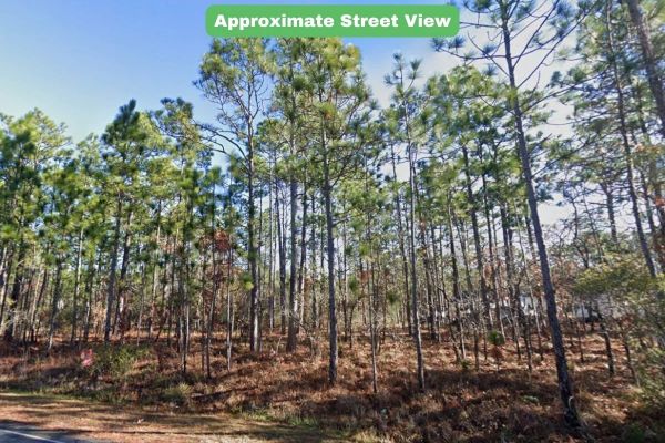 Brunswick, NC - 157ac073 - Image 3